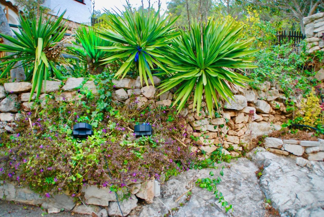 Mas Rosich Bed & Breakfast Alcover Exterior photo