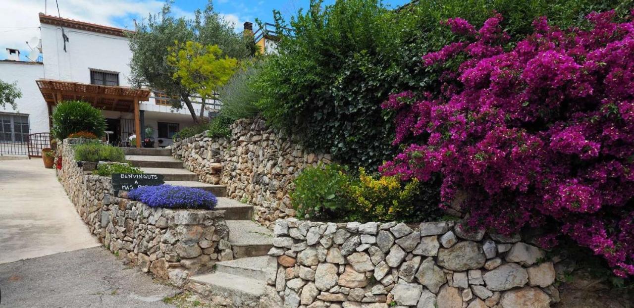 Mas Rosich Bed & Breakfast Alcover Exterior photo